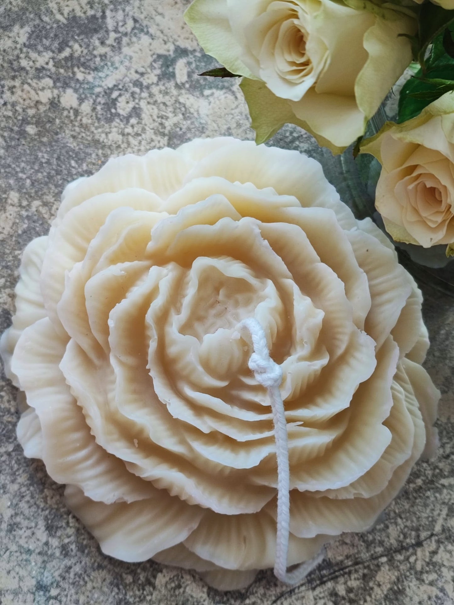 Bougie Pivoine